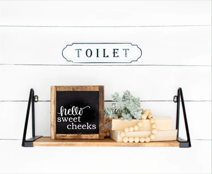 Purple LadyBug Decor Hello Sweet Cheeks Bathroom Sign
