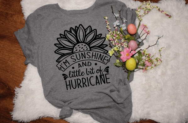 Purple LadyBug Decor shirts I'm Sunshine and a little bit of Hurricane T-Shirt
