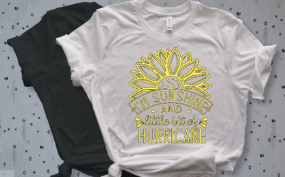 Purple LadyBug Decor shirts I'm Sunshine and a little bit of Hurricane T-Shirt